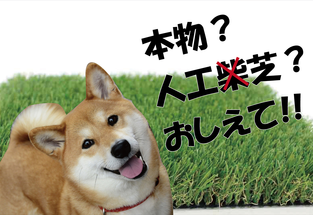 ワンデックスおすすめ商品のご案内